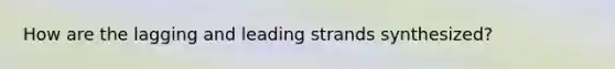 How are the lagging and leading strands synthesized?