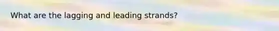 What are the lagging and leading strands?