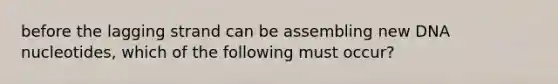 before the lagging strand can be assembling new DNA nucleotides, which of the following must occur?