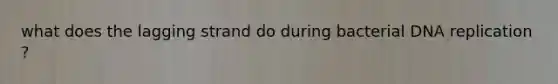 what does the lagging strand do during bacterial DNA replication ?