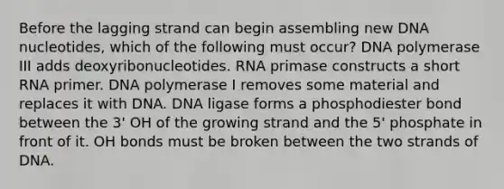 Before the lagging strand can begin assembling new DNA nucleotides, which of the following must occur? DNA polymerase III adds deoxyribonucleotides. RNA primase constructs a short RNA primer. DNA polymerase I removes some material and replaces it with DNA. DNA ligase forms a phosphodiester bond between the 3' OH of the growing strand and the 5' phosphate in front of it. OH bonds must be broken between the two strands of DNA.