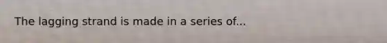 The lagging strand is made in a series of...