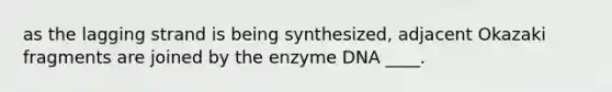 as the lagging strand is being synthesized, adjacent Okazaki fragments are joined by the enzyme DNA ____.