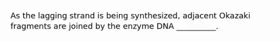 As the lagging strand is being synthesized, adjacent Okazaki fragments are joined by the enzyme DNA __________.