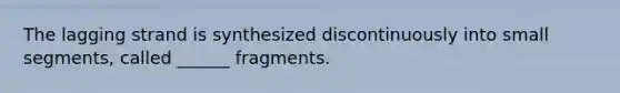 The lagging strand is synthesized discontinuously into small segments, called ______ fragments.