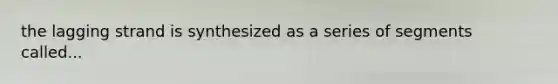 the lagging strand is synthesized as a series of segments called...