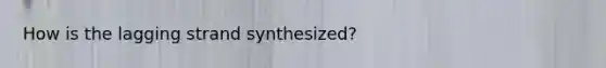 How is the lagging strand synthesized?