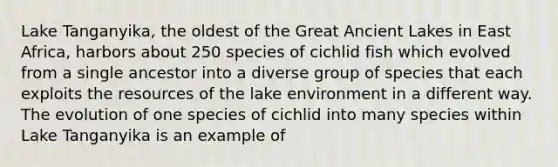 Lake Tanganyika, the oldest of the Great Ancient Lakes in East Africa, harbors about 250 species of cichlid fish which evolved from a single ancestor into a diverse group of species that each exploits the resources of the lake environment in a different way. The evolution of one species of cichlid into many species within Lake Tanganyika is an example of