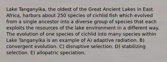 Lake Tanganyika, the oldest of the Great Ancient Lakes in East Africa, harbors about 250 species of cichlid fish which evolved from a single ancestor into a diverse group of species that each exploits the resources of the lake environment in a different way. The evolution of one species of cichlid into many species within Lake Tanganyika is an example of A) adaptive radiation. B) convergent evolution. C) disruptive selection. D) stabilizing selection. E) allopatric speciation.