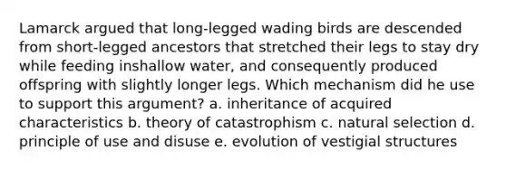 Lamarck argued that long-legged wading birds are descended from short-legged ancestors that stretched their legs to stay dry while feeding inshallow water, and consequently produced offspring with slightly longer legs. Which mechanism did he use to support this argument? a. inheritance of acquired characteristics b. theory of catastrophism c. natural selection d. principle of use and disuse e. evolution of vestigial structures