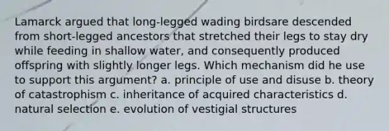 Lamarck argued that long-legged wading birdsare descended from short-legged ancestors that stretched their legs to stay dry while feeding in shallow water, and consequently produced offspring with slightly longer legs. Which mechanism did he use to support this argument? a. ​principle of use and disuse b. ​theory of catastrophism c. ​inheritance of acquired characteristics d. ​natural selection e. ​evolution of vestigial structures