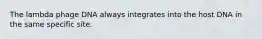The lambda phage DNA always integrates into the host DNA in the same specific site.
