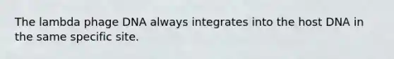 The lambda phage DNA always integrates into the host DNA in the same specific site.