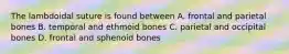 The lambdoidal suture is found between A. frontal and parietal bones B. temporal and ethmoid bones C. parietal and occipital bones D. frontal and sphenoid bones