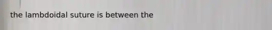 the lambdoidal suture is between the