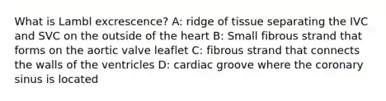 What is Lambl excrescence? A: ridge of tissue separating the IVC and SVC on the outside of the heart B: Small fibrous strand that forms on the aortic valve leaflet C: fibrous strand that connects the walls of the ventricles D: cardiac groove where the coronary sinus is located