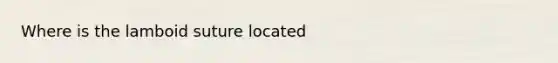 Where is the lamboid suture located