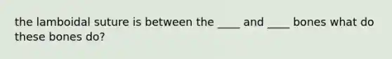 the lamboidal suture is between the ____ and ____ bones what do these bones do?