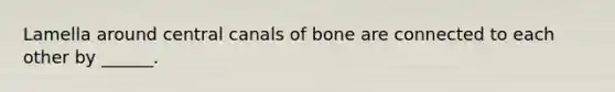 Lamella around central canals of bone are connected to each other by ______.