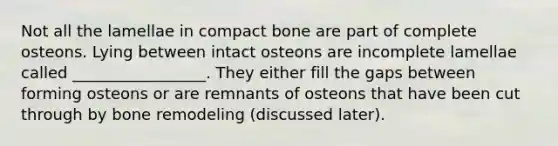 Not all the lamellae in compact bone are part of complete osteons. Lying between intact osteons are incomplete lamellae called _________________. They either fill the gaps between forming osteons or are remnants of osteons that have been cut through by bone remodeling (discussed later).