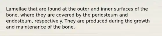 Lamellae that are found at the outer and inner surfaces of the bone, where they are covered by the periosteum and endosteum, respectively. They are produced during the growth and maintenance of the bone.