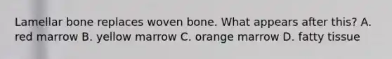 Lamellar bone replaces woven bone. What appears after this? A. red marrow B. yellow marrow C. orange marrow D. fatty tissue