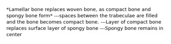 *Lamellar bone replaces woven bone, as compact bone and spongy bone form* ---spaces between the trabeculae are filled and the bone becomes compact bone. ---Layer of compact bone replaces surface layer of spongy bone ---Spongy bone remains in center