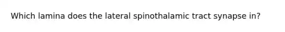 Which lamina does the lateral spinothalamic tract synapse in?