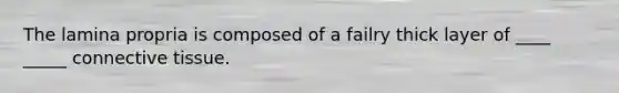 The lamina propria is composed of a failry thick layer of ____ _____ connective tissue.