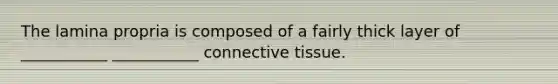 The lamina propria is composed of a fairly thick layer of ___________ ___________ connective tissue.