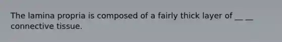 The lamina propria is composed of a fairly thick layer of __ __ <a href='https://www.questionai.com/knowledge/kYDr0DHyc8-connective-tissue' class='anchor-knowledge'>connective tissue</a>.