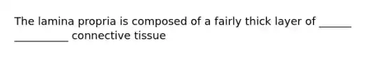 The lamina propria is composed of a fairly thick layer of ______ __________ connective tissue