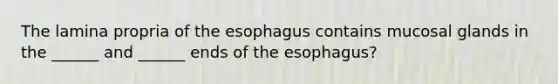 The lamina propria of the esophagus contains mucosal glands in the ______ and ______ ends of the esophagus?