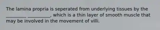 The lamina propria is seperated from underlying tissues by the _________ __________, which is a thin layer of smooth muscle that may be involved in the movement of villi.