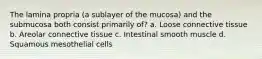 The lamina propria (a sublayer of the mucosa) and the submucosa both consist primarily of? a. Loose connective tissue b. Areolar connective tissue c. Intestinal smooth muscle d. Squamous mesothelial cells