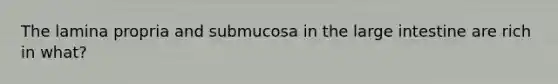 The lamina propria and submucosa in the large intestine are rich in what?