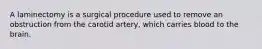 A laminectomy is a surgical procedure used to remove an obstruction from the carotid artery, which carries blood to the brain.