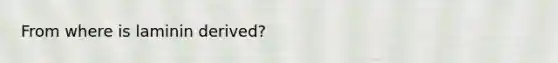 From where is laminin derived?