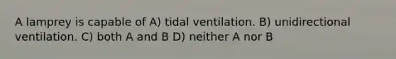 A lamprey is capable of A) tidal ventilation. B) unidirectional ventilation. C) both A and B D) neither A nor B