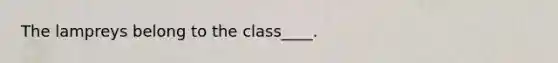 The lampreys belong to the class____.