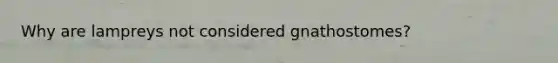 Why are lampreys not considered gnathostomes?