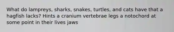 What do lampreys, sharks, snakes, turtles, and cats have that a hagfish lacks? Hints a cranium vertebrae legs a notochord at some point in their lives jaws