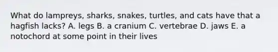 What do lampreys, sharks, snakes, turtles, and cats have that a hagfish lacks? A. legs B. a cranium C. vertebrae D. jaws E. a notochord at some point in their lives