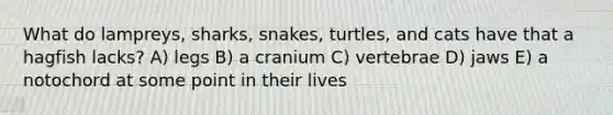 What do lampreys, sharks, snakes, turtles, and cats have that a hagfish lacks? A) legs B) a cranium C) vertebrae D) jaws E) a notochord at some point in their lives