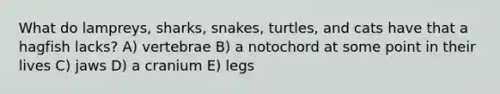 What do lampreys, sharks, snakes, turtles, and cats have that a hagfish lacks? A) vertebrae B) a notochord at some point in their lives C) jaws D) a cranium E) legs