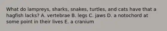 What do lampreys, sharks, snakes, turtles, and cats have that a hagfish lacks? A. vertebrae B. legs C. jaws D. a notochord at some point in their lives E. a cranium