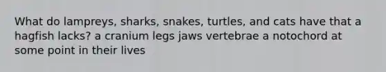 What do lampreys, sharks, snakes, turtles, and cats have that a hagfish lacks? a cranium legs jaws vertebrae a notochord at some point in their lives