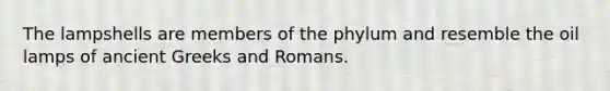 The lampshells are members of the phylum and resemble the oil lamps of ancient Greeks and Romans.