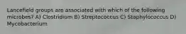Lancefield groups are associated with which of the following microbes? A) Clostridium B) Streptococcus C) Staphylococcus D) Mycobacterium