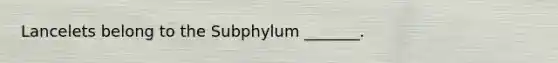 Lancelets belong to the Subphylum _______.